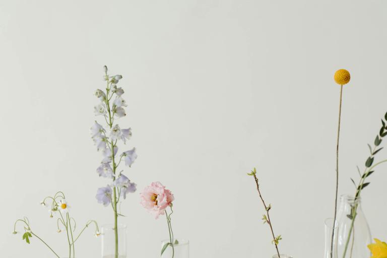 Floral Arrangements   - Creating a Blooming Paradise: Spring Flower Gardening Ideas