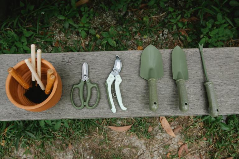 gardening essentials - 10 Essential Tips for a Successful Spring Garden