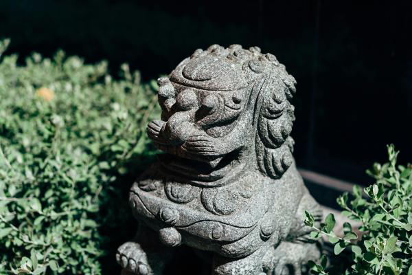 Garden aesthetics - The Timeless Beauty of Koi: A Deep Dive into Their Symbolism and Care