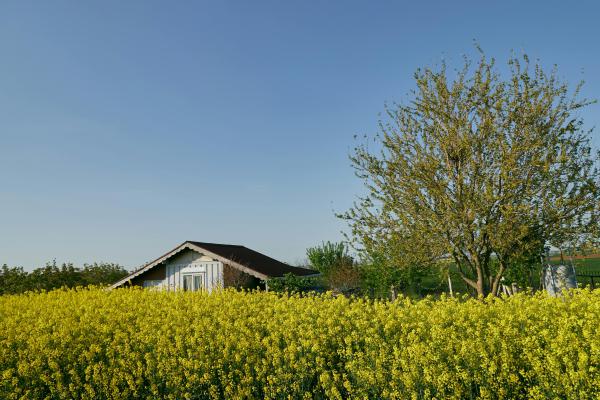 spring gardening   - 10 Essential Tips for a Successful Spring Garden