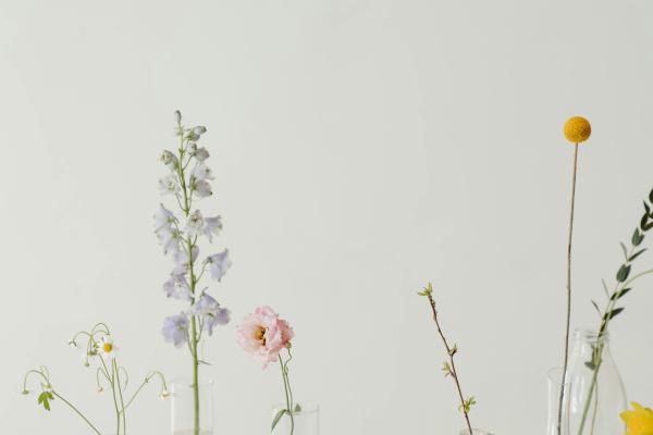 Floral Arrangements   - Creating a Blooming Paradise: Spring Flower Gardening Ideas
