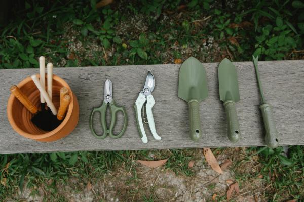 gardening essentials - 10 Essential Tips for a Successful Spring Garden